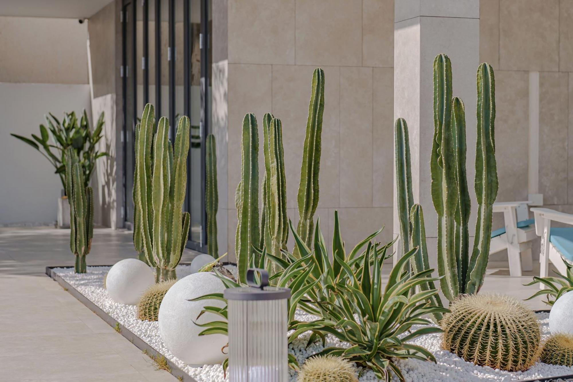 Dali Oriental Seaview Hotel -Dali Erhai Exterior photo